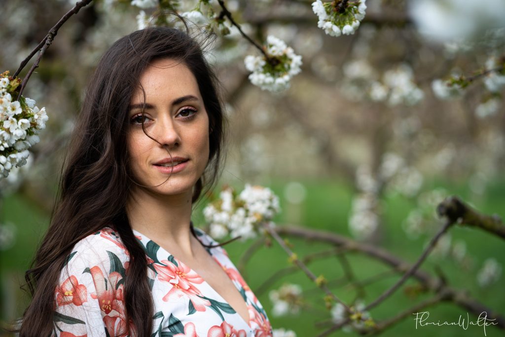 Florian Walter Photographe Alsace - Portrait cerisier en fleurs